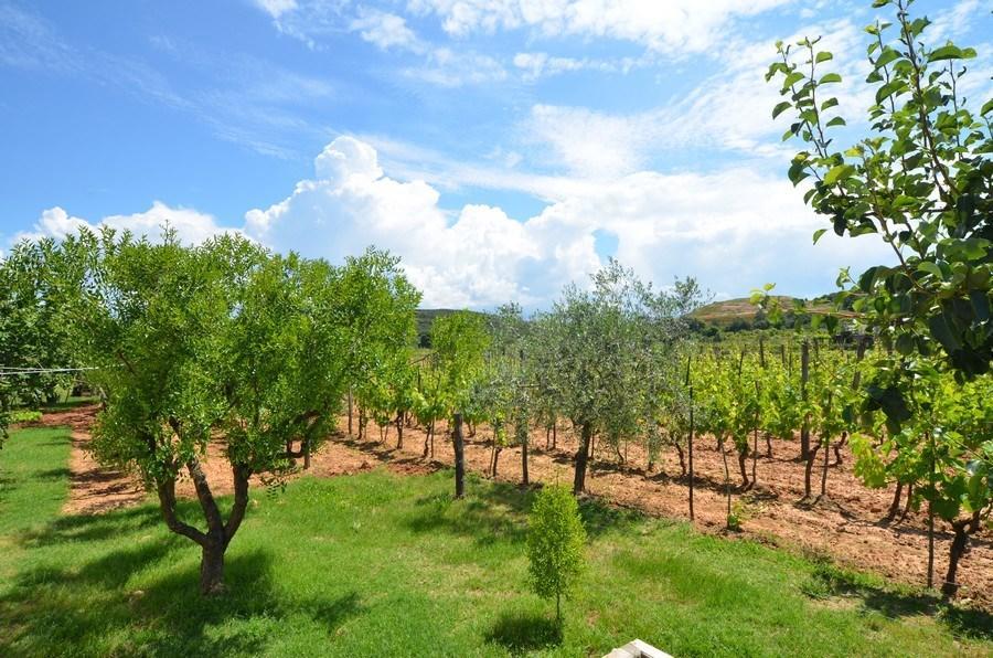 Apartma Casa Basilica Rovinj